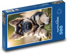 Štěně Puzzle 500 dílků - 46 x 30 cm