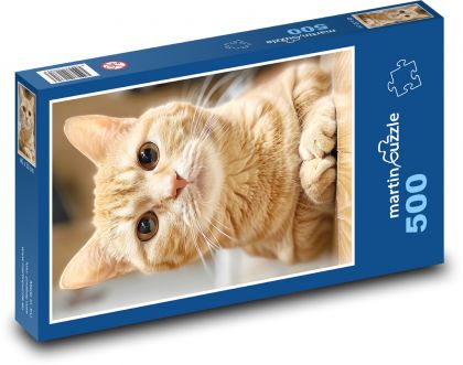Mačka s dlhou bradou - Puzzle 500 dielikov, rozmer 46x30 cm 