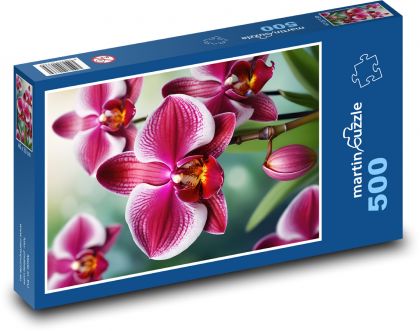 Květ orchideje - Puzzle 500 dílků, rozměr 46x30 cm