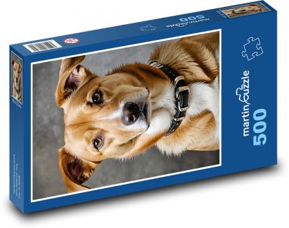 Hund - Puzzle - 500 Teile