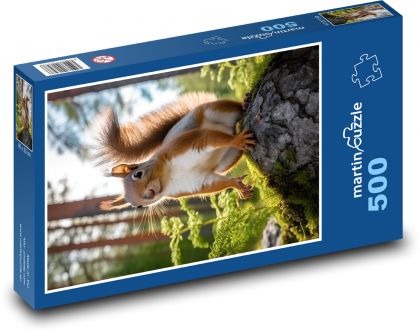 Eichhörnchen. - Puzzle - 500 Teile