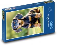 Pes - jezevčík Puzzle 500 dílků - 46 x 30 cm