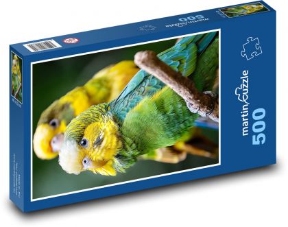 Budgies - Puzzle of 500 pieces, size 46x30 cm 