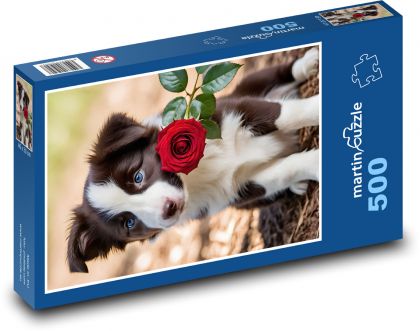 Border Collie - szczeniak - Puzzle 500 elementów, rozmiar 46x30 cm