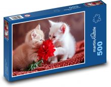 Niedliche Kätzchen Puzzle 500 Teile - 46 x 30 cm