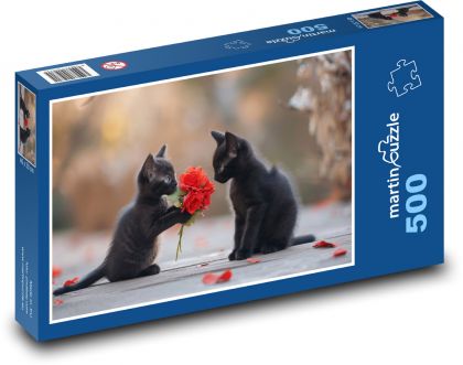 Roztomilá černá koťata - puzzle 500 dílků