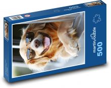 Golden retriever w okularach Puzzle 500 elementów - 46x30 cm