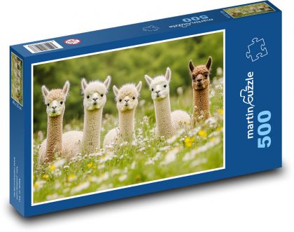 Alpaky v trávě - puzzle 500 dílků