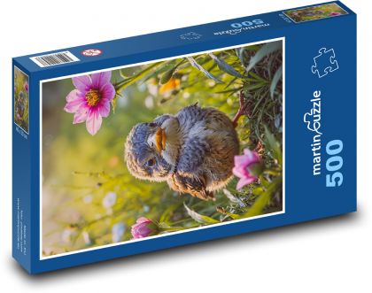 Vták na jar - Puzzle 500 dielikov, rozmer 46x30 cm 