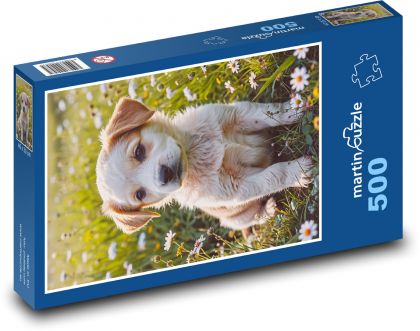 Pes - šteňa - Puzzle 500 dielikov, rozmer 46x30 cm 