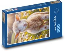 Ovce Puzzle 500 dílků - 46 x 30 cm