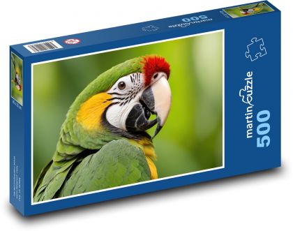 Papoušek - pták - puzzle 500 dílků