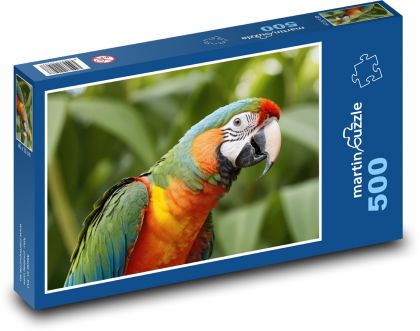 Parrot - Puzzle of 500 pieces, size 46x30 cm 