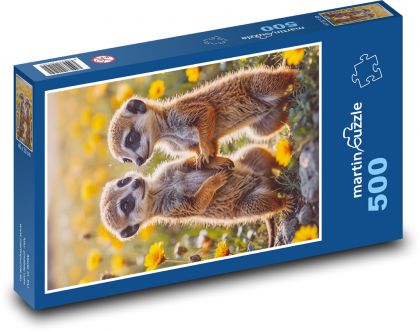 Surikaty v kvetoch - Puzzle 500 dielikov, rozmer 46x30 cm 