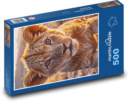Lion - lion cubs - Puzzle of 500 pieces, size 46x30 cm 