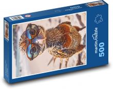 Ptak w okularach Puzzle 500 elementów - 46x30 cm
