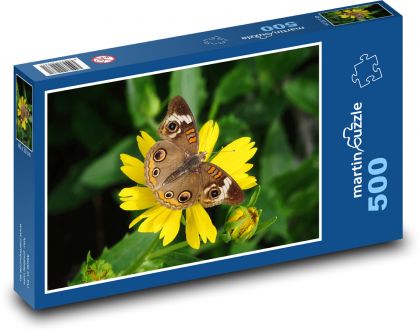 Motýl na květině - puzzle 500 dílků
