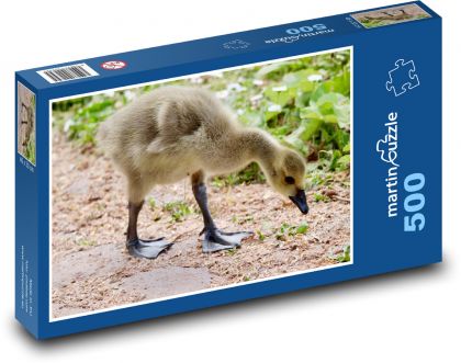 Kanadská husa - puzzle 500 dílků