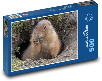 Groundhog - Puzzle of 500 pieces, size 46x30 cm 