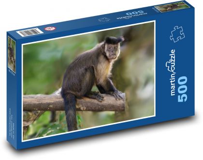 Capuchin Crested Monkey - Puzzle of 500 pieces, size 46x30 cm 