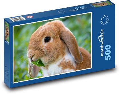 Rabbit - Puzzle of 500 pieces, size 46x30 cm 