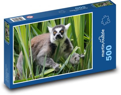 Lemur - puzzle 500 dílků