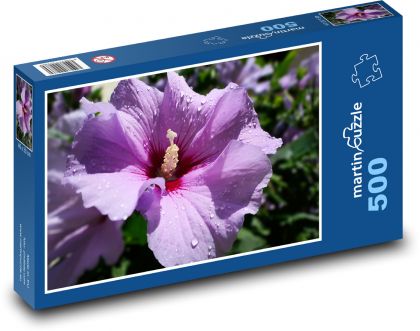 Fialový ibištek - Puzzle 500 dielikov, rozmer 46x30 cm 