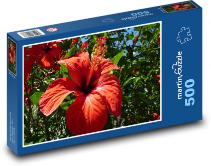 Red Hibiscus - Puzzle of 500 pieces, size 46x30 cm 