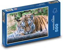 Dschungelkönig: Tiger Puzzle 500 Teile - 46 x 30 cm