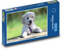 Golden Retriever Puppy Puzzle of 500 pieces - 46 x 30 cm