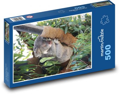 Spící koala - puzzle 500 dílků