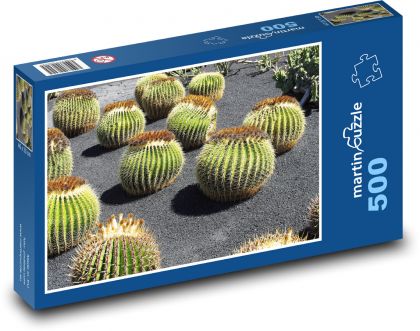 Kaktusgarten - Lanzarote - Puzzle - 500 Teile