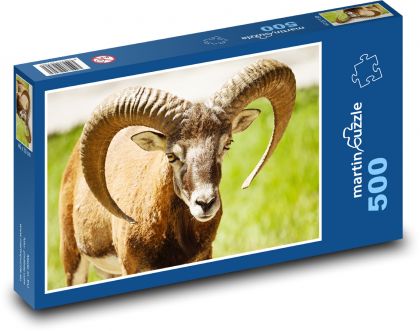 Muflon na louce - puzzle 500 dílků