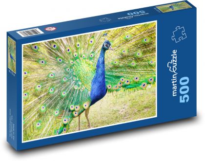Peacock - Puzzle of 500 pieces, size 46x30 cm 