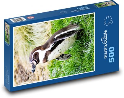 Penguin in the grass - Puzzle of 500 pieces, size 46x30 cm 