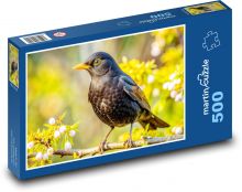Černý kos Puzzle 500 - 46x30 cm