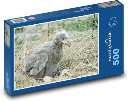 Orol bielohlavý - mláďa - Puzzle 500 dielikov, rozmer 46x30 cm 