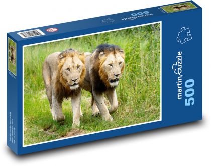 Levy - Puzzle 500 dielikov, rozmer 46x30 cm 