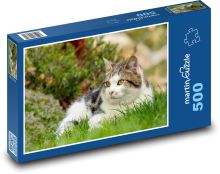 Katze Puzzle 500 Teile - 46 x 30 cm