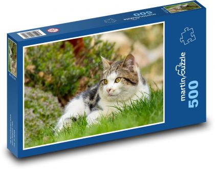 Cat  - Puzzle of 500 pieces, size 46x30 cm 