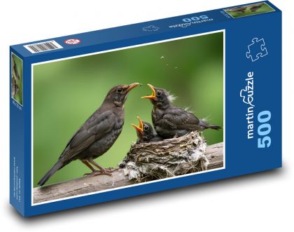 Kos - pisklęta - Puzzle 500 elementów, rozmiar 46x30 cm