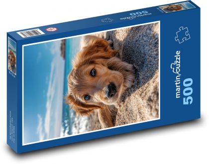 Welpe am Strand - Puzzle - 500 Teile