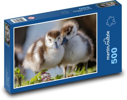 Ägyptische Gänse - Puzzle - 500 Teile
