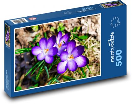 Krokusy - puzzle 500 dílků