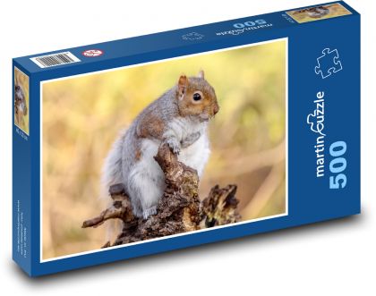 Eichhörnchen - Puzzle - 500 Teile