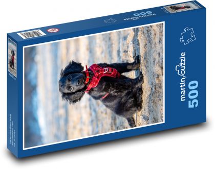 Pes - puzzle 500 dílků