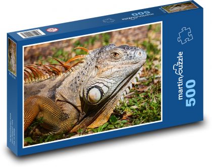 Leguan - Puzzle - 500 Teile