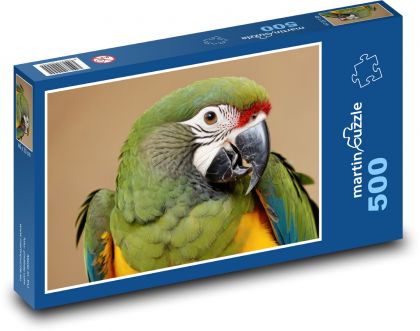 Papagei - Puzzle - 500 Teile