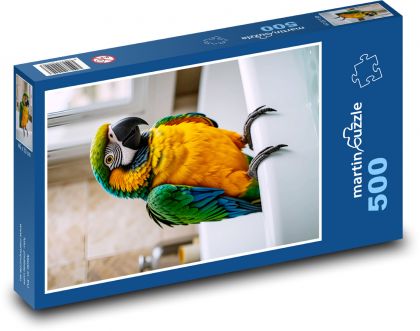 Papuga - Puzzle 500 elementów, rozmiar 46x30 cm