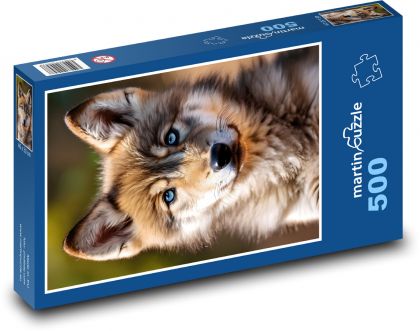 Wolf cub - Puzzle of 500 pieces, size 46x30 cm 